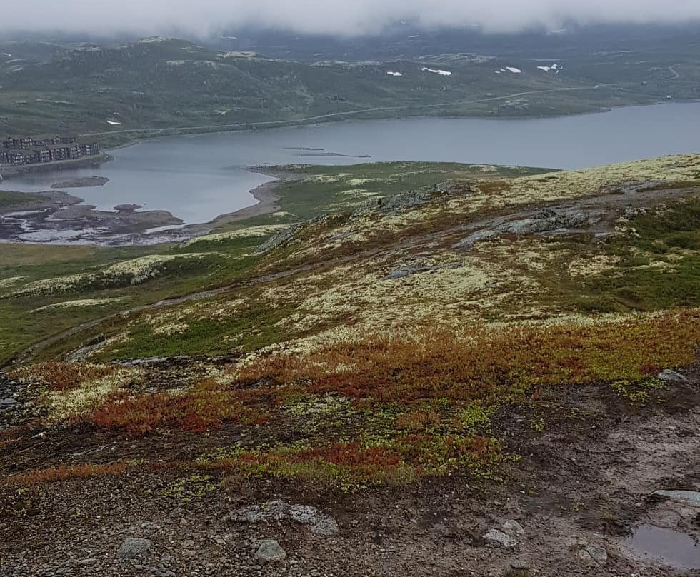Bergsjostolen Fjellstue主图