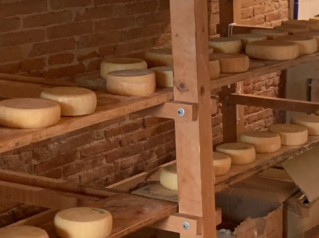 Podere Casa al Bosco-菲利内瓦尔达尔诺必去景点