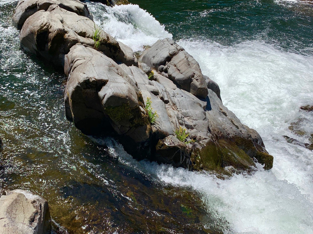 Lucia Falls Regional Park景点图片