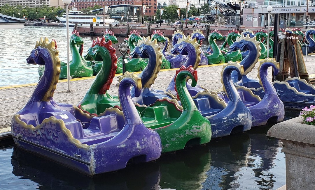 Inner Harbor Paddle Boats景点图片