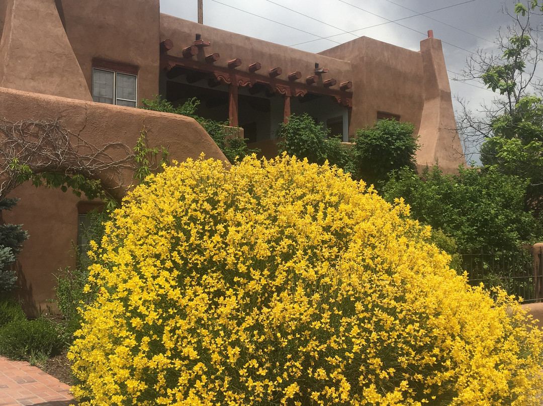 Inn at the Delta主图