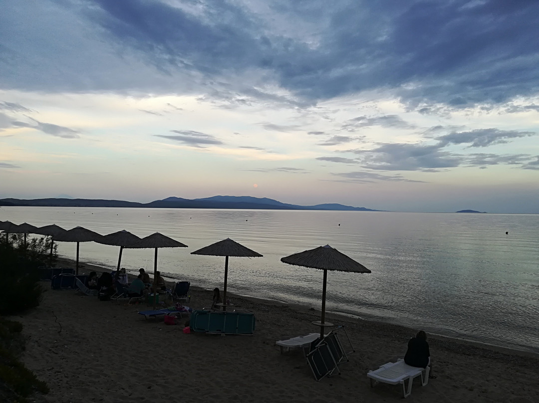 Olympic Bibis Hotel主图