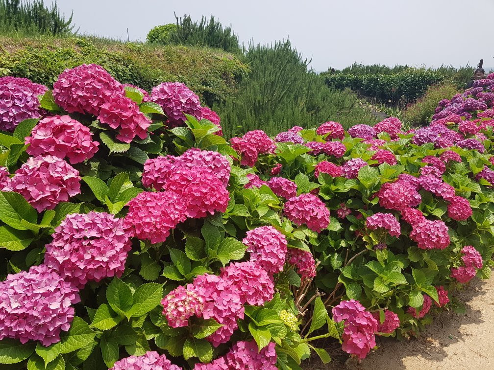 Daraengi Village-南海郡必去景点