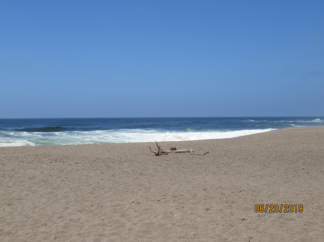 Point Reyes Beach North景点图片