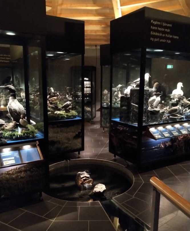 Sigurgeirs Bird Museum景点图片
