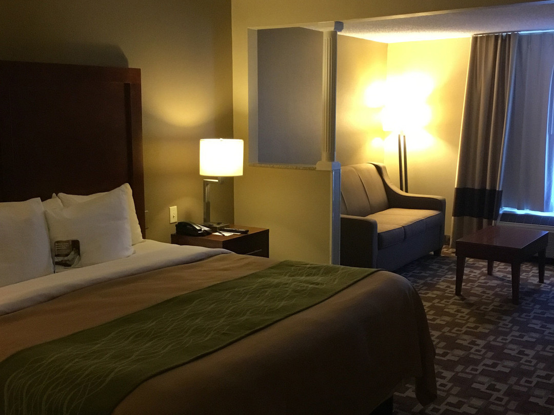Comfort Inn & Suites主图