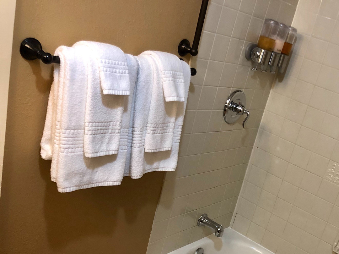 The Lake House at Ferry Point主图