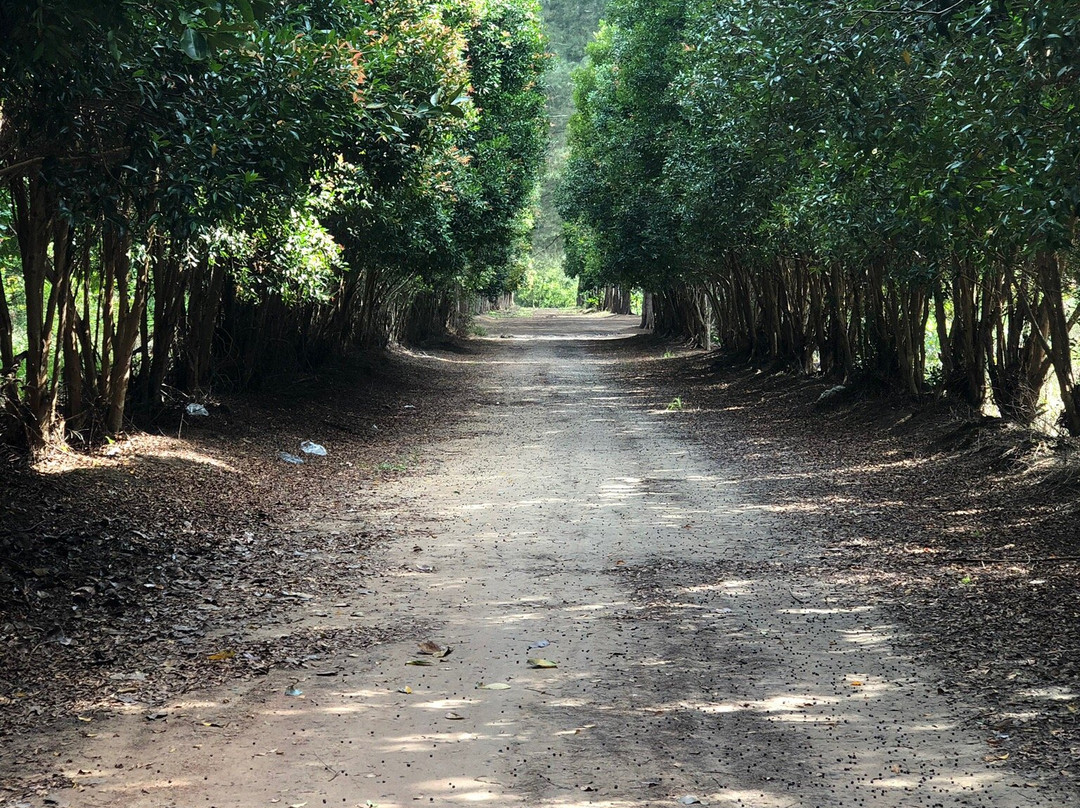 Bangka Botanical Garden (BBG)-Pangkal Pinang必去景点