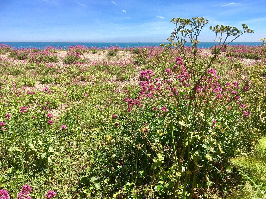 Kingsdown Beach景点图片