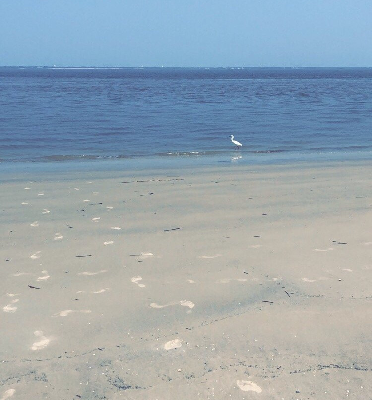 Clam Creek Picnic Area-吉柯岛必去景点