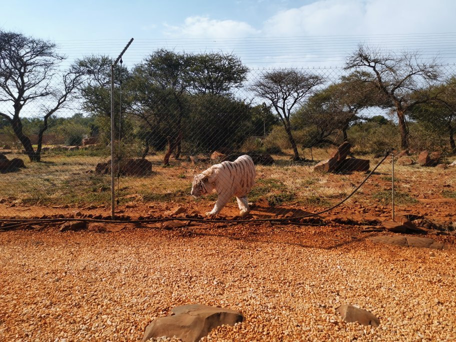 Rustenzicht Lodge and Wedding Venue主图