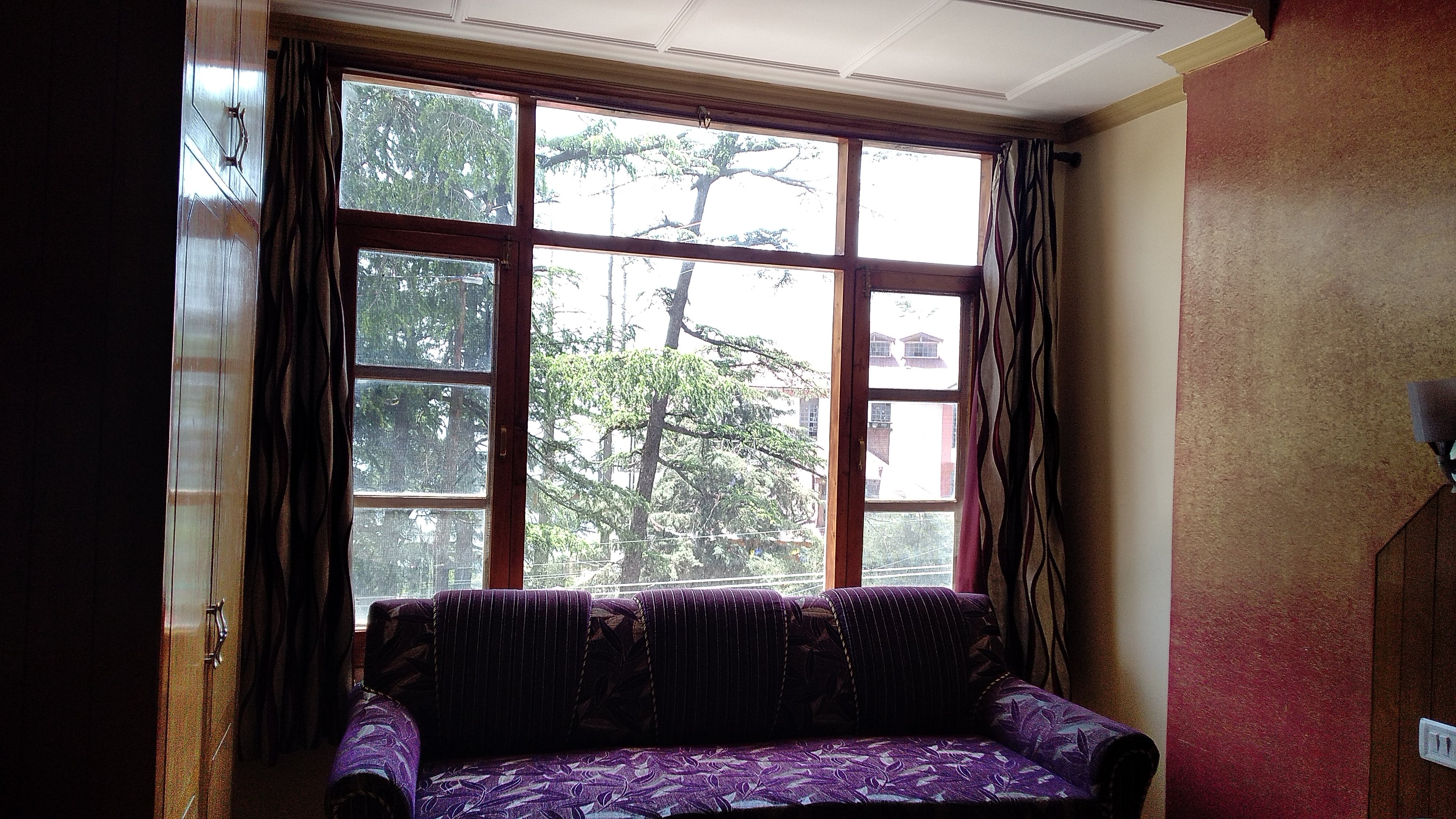 Hotel King Palace Shimla-酒店景观