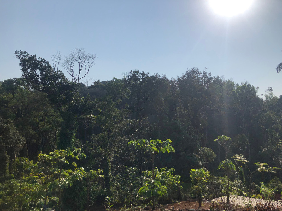 Redhouse Homestay - Hidden Valley Coorg主图