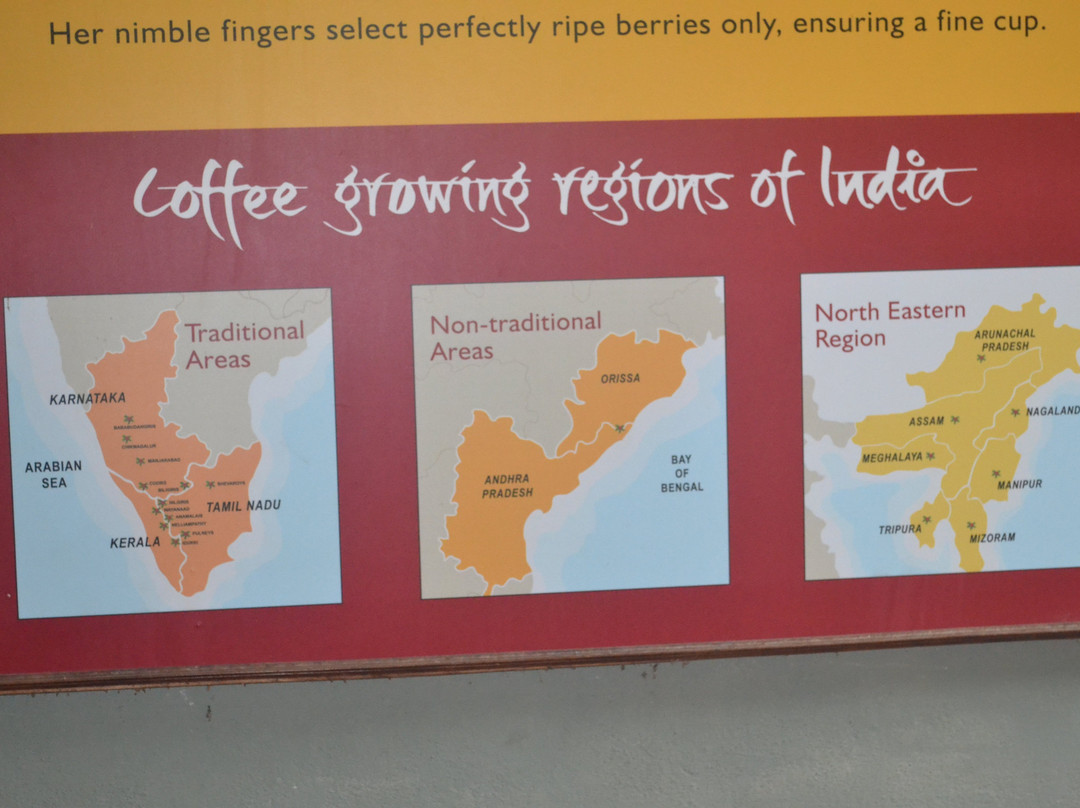 Central Coffee Research Institution景点图片
