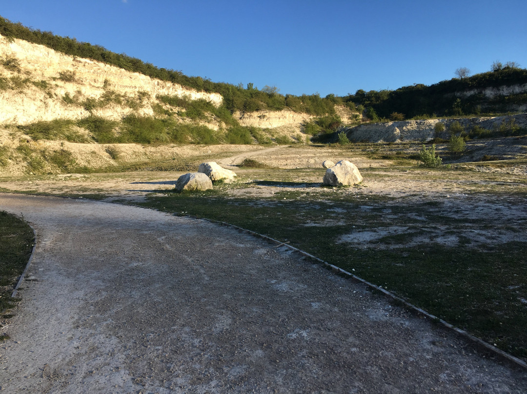 Cherry Hinton Chalk Pits景点图片