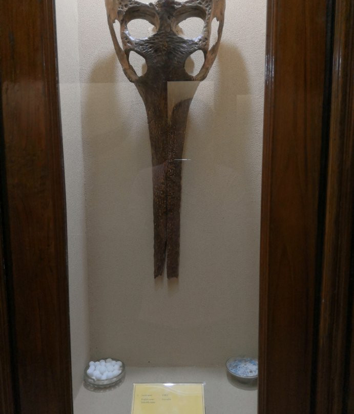 Mizoram State Museum-艾藻尔必去景点