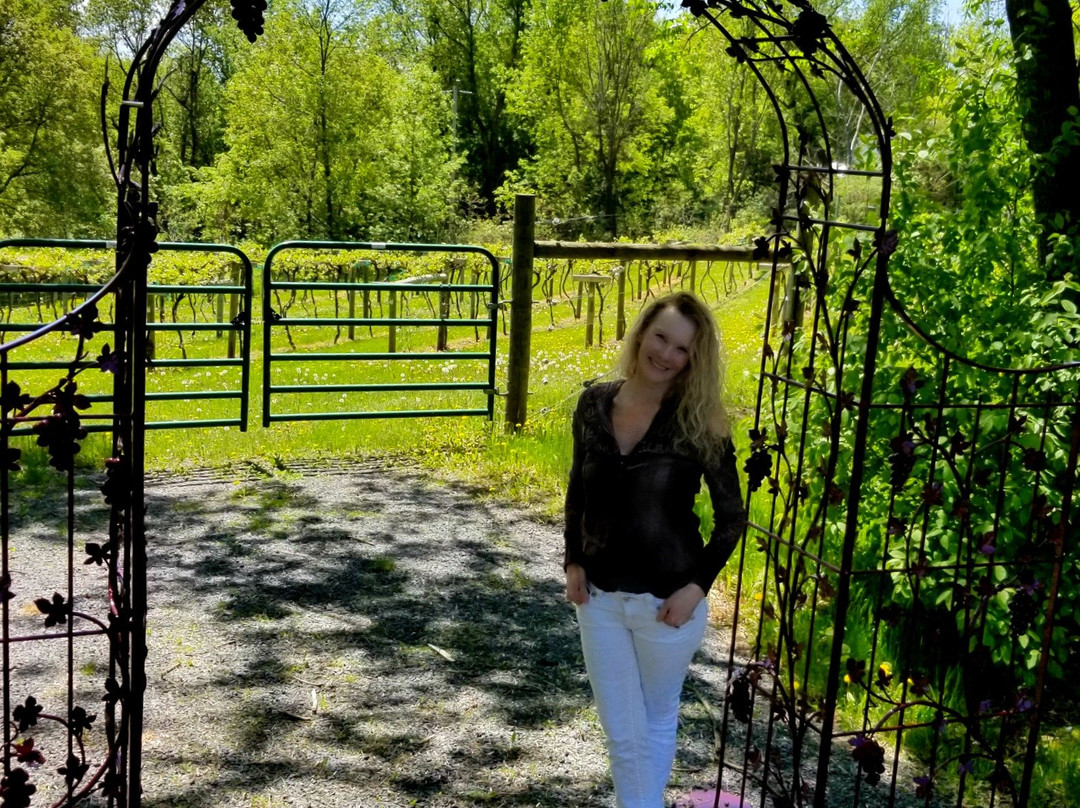 WineHaven Winery and Vineyard-Chisago City必去景点