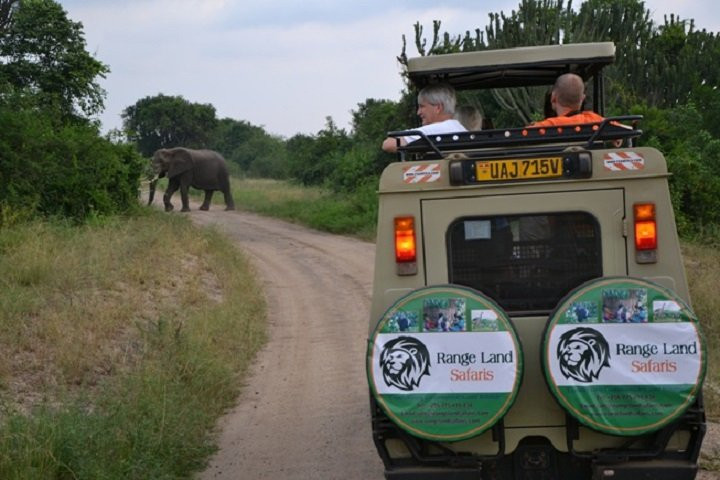 Range Land Safaris Limited-坎帕拉必去景点