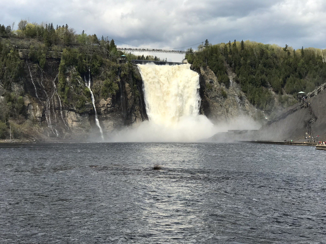 Montmorency Park景点图片