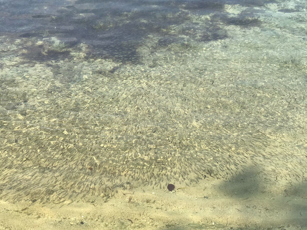 Tidewater Resort主图