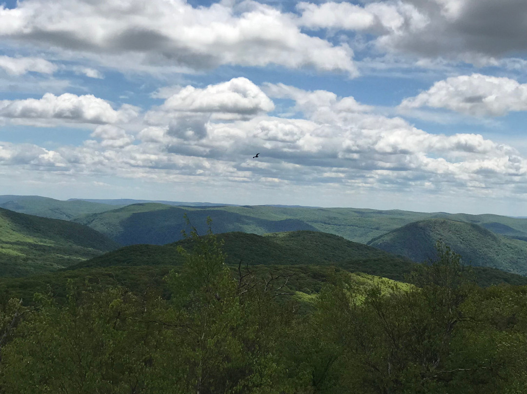 Mount Beacon-Fishkill必去景点