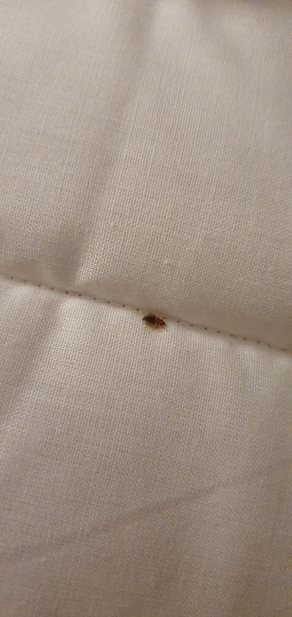 Lane End Conference Centre-官方