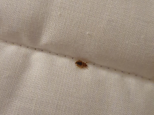 Radnage酒店住宿-Lane End Conference Centre