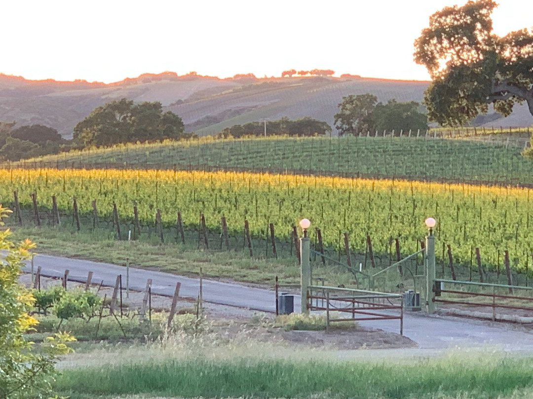 Summerwood Winery & Inn主图