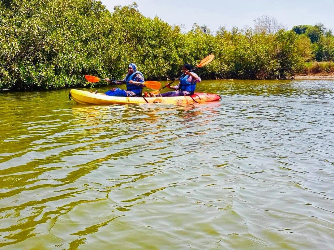 Gambia Kayaking景点图片