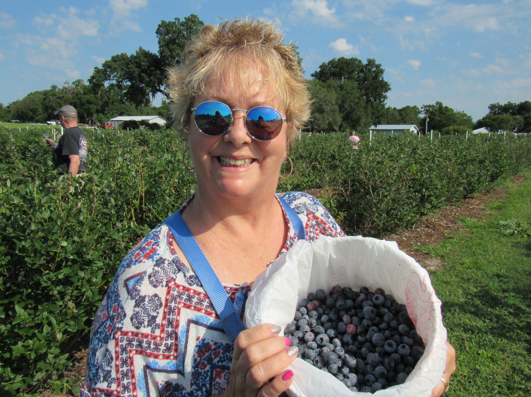 Back Road Berries-Oxford必去景点