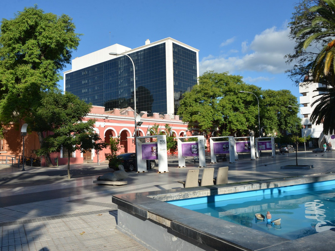 Plaza 25 de Mayo景点图片