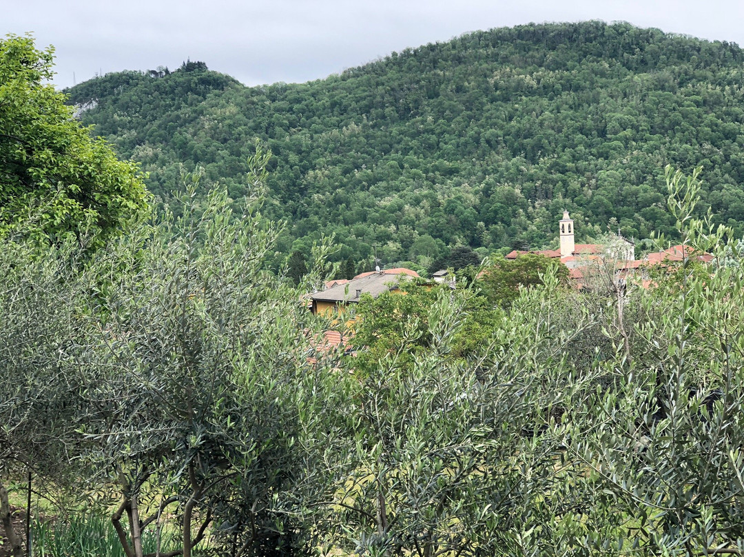 strada per la Carona-Laveno-Mombello必去景点