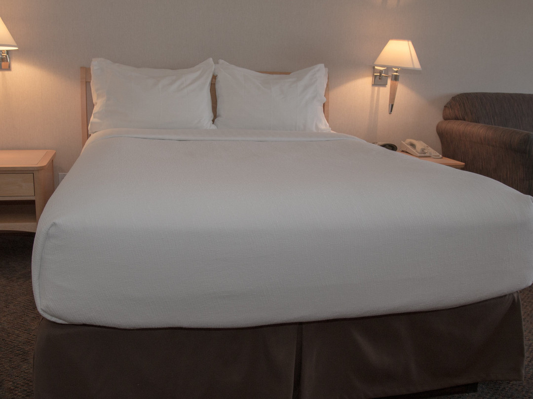 西基洛纳假日酒店主图