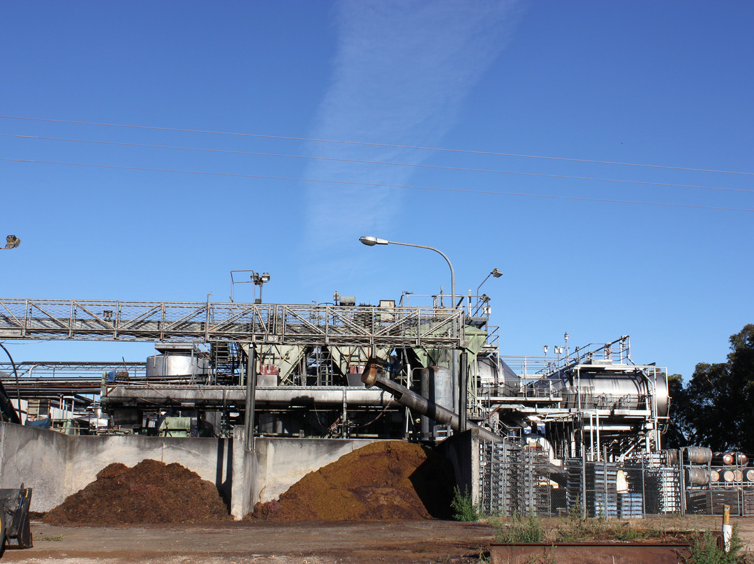 Coonawarra Wineries Walking Trail-Coonawarra必去景点