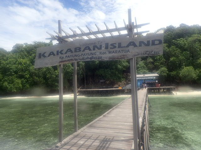 Kakaban Island景点图片