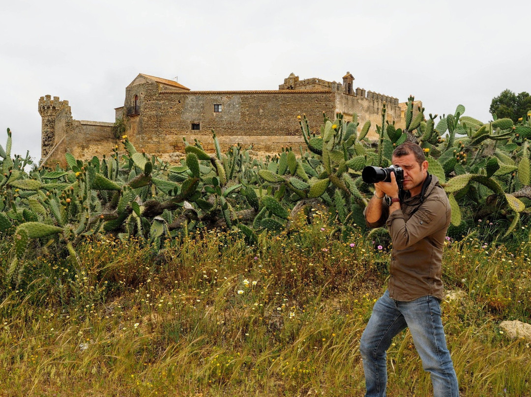 Castillo de Marchenilla-Alcala de Guadaira必去景点