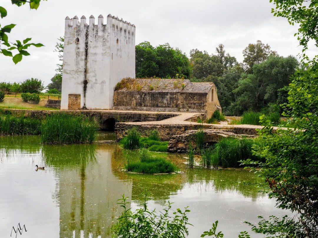 Molino de la Acena-Alcala de Guadaira必去景点