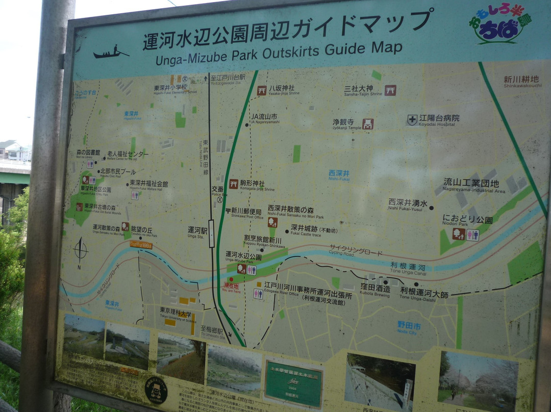 Tone Canal-流山市必去景点