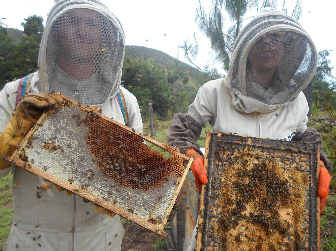 Ruta de las abejas y la miel景点图片