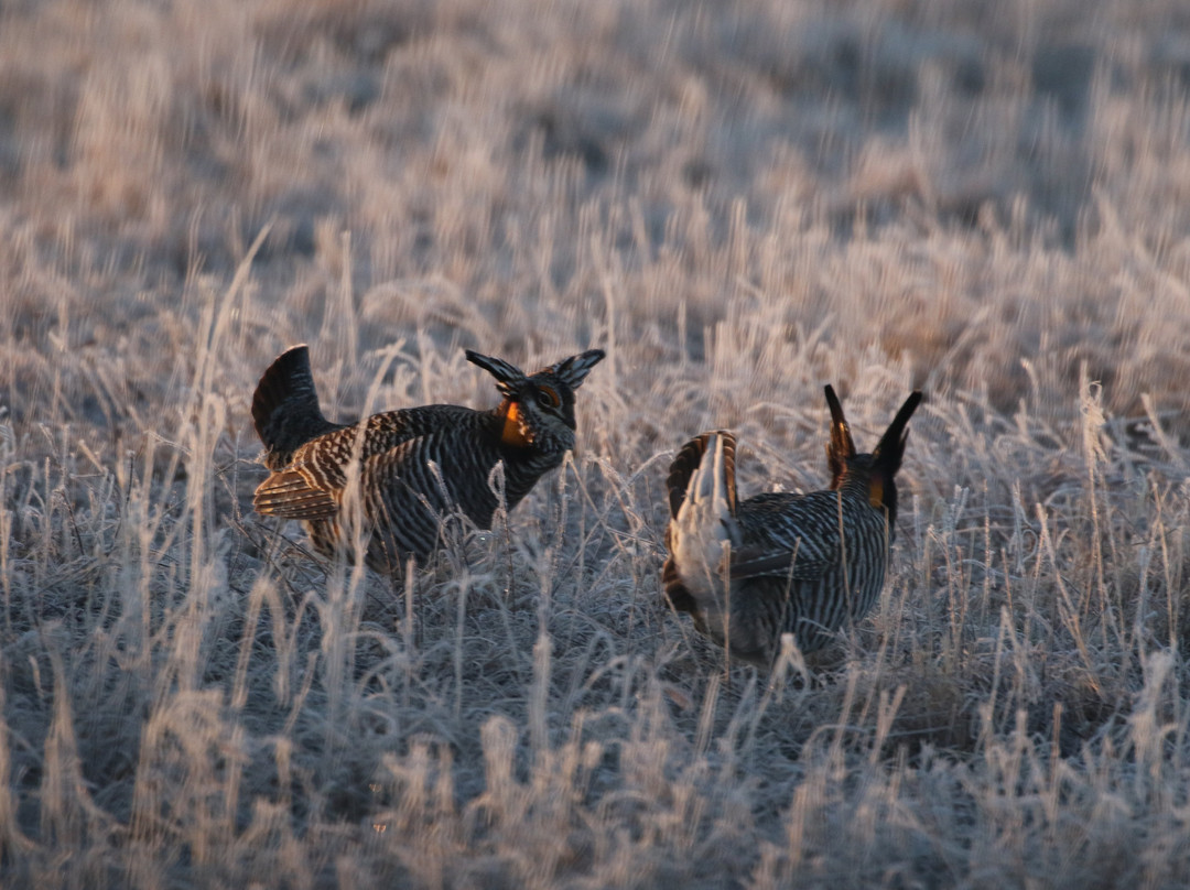 Calamus Outfitters-Burwell必去景点
