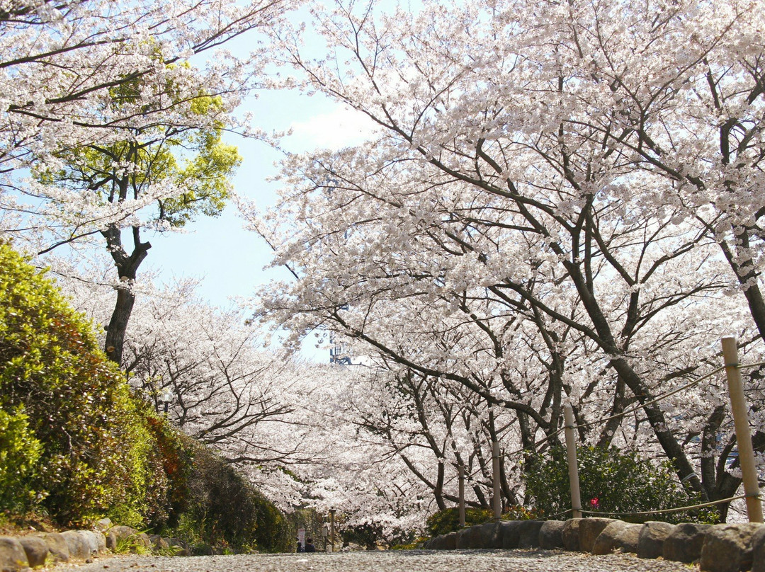 Nagao Castle Park景点图片