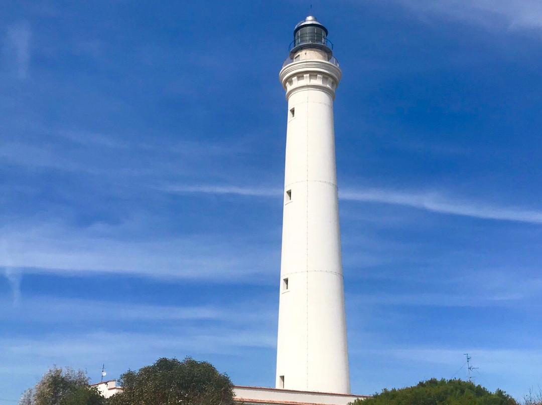 San Vito Lo Capo Lighthouse景点图片