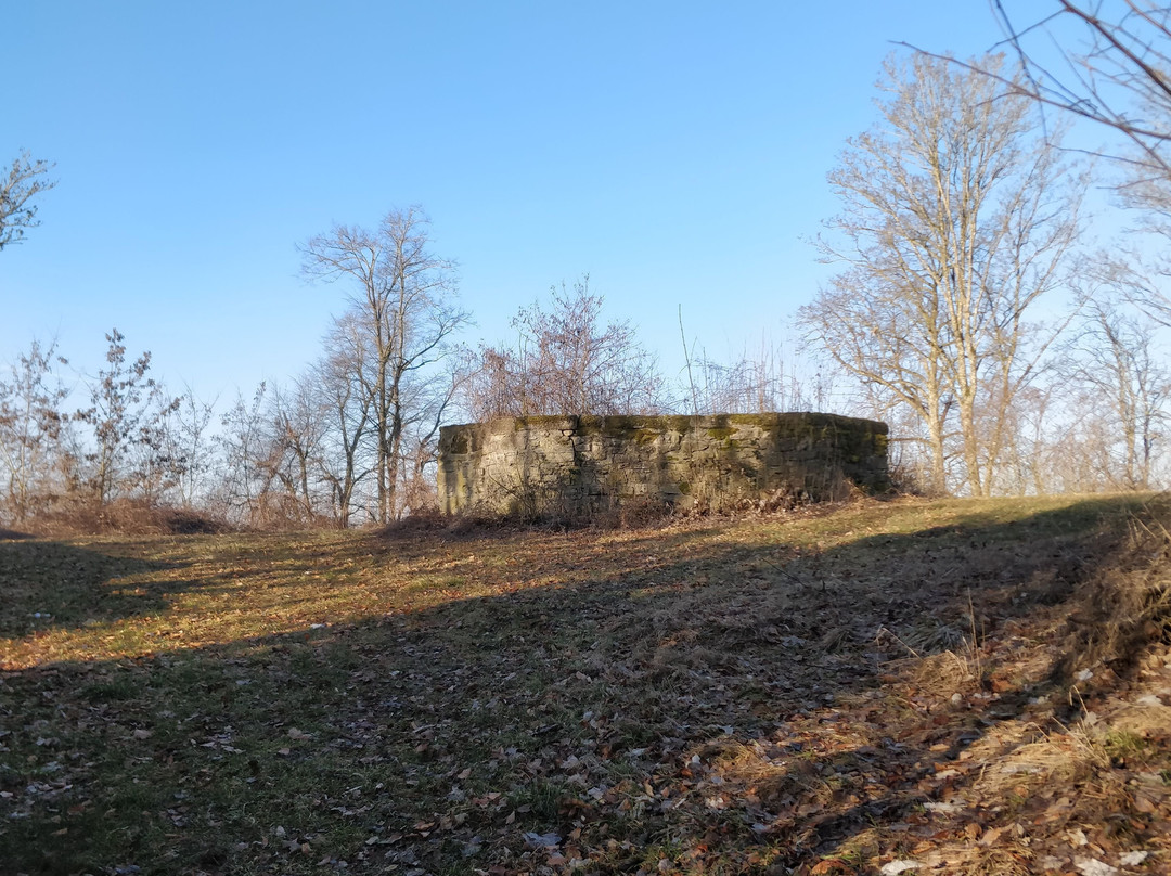 Burgruine Nellenburg-Stockach必去景点