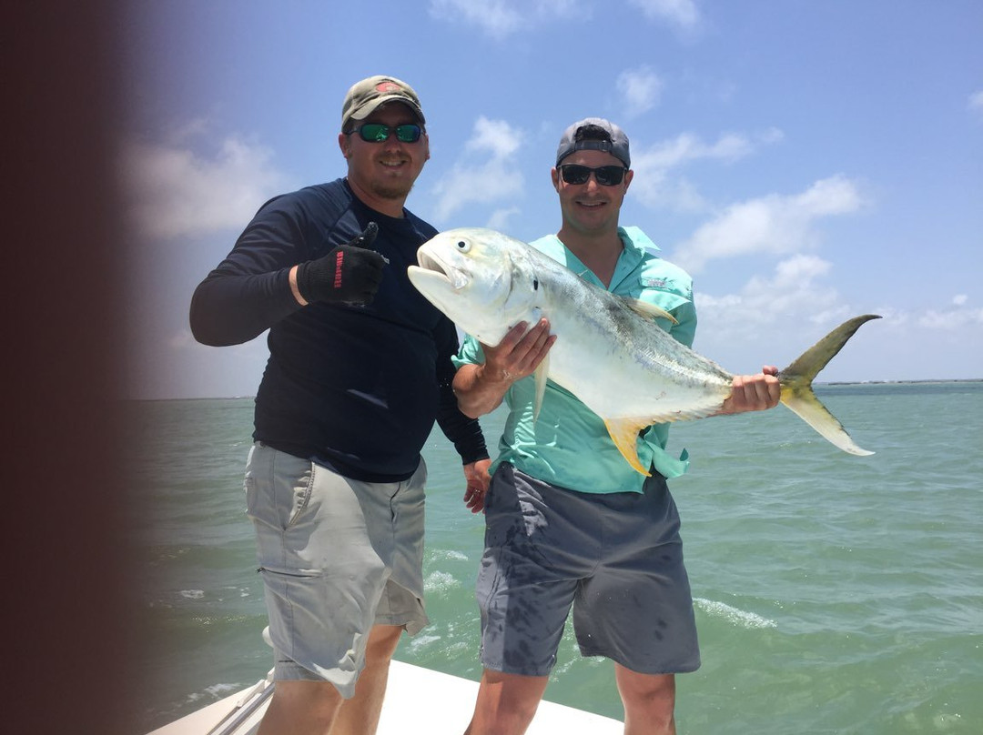 Tooth And Scale Guide Service