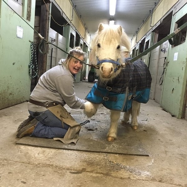 Restorative Reins Equine Therapy & Wellness Centre-万锦市必去景点