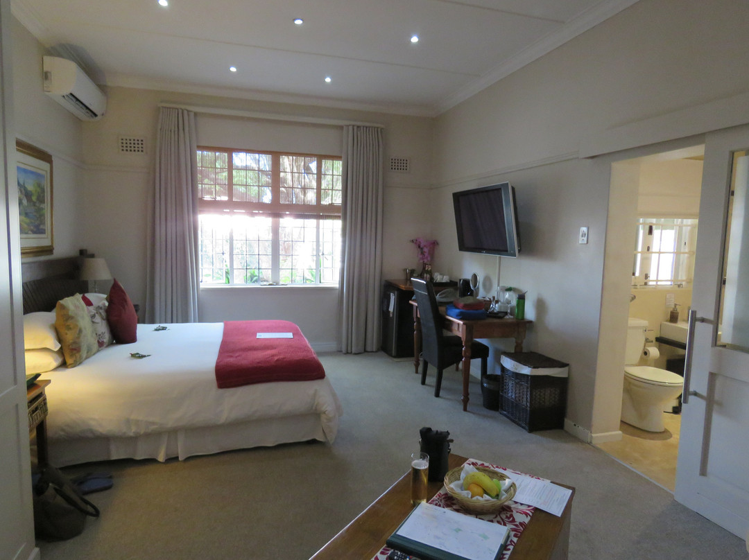 野生橄榄豪华宾馆主图