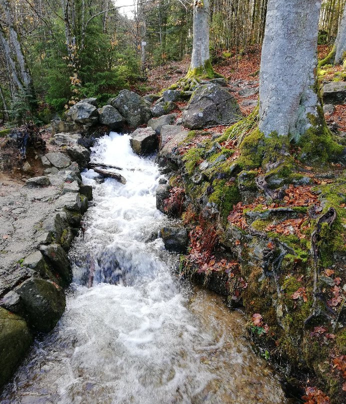 Cascade du Hohwald-Le Hohwald必去景点