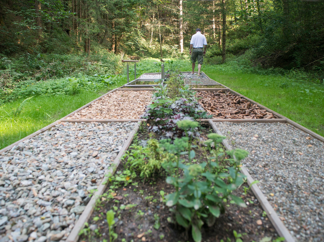 Hotel Landsitz Pichlschloss主图
