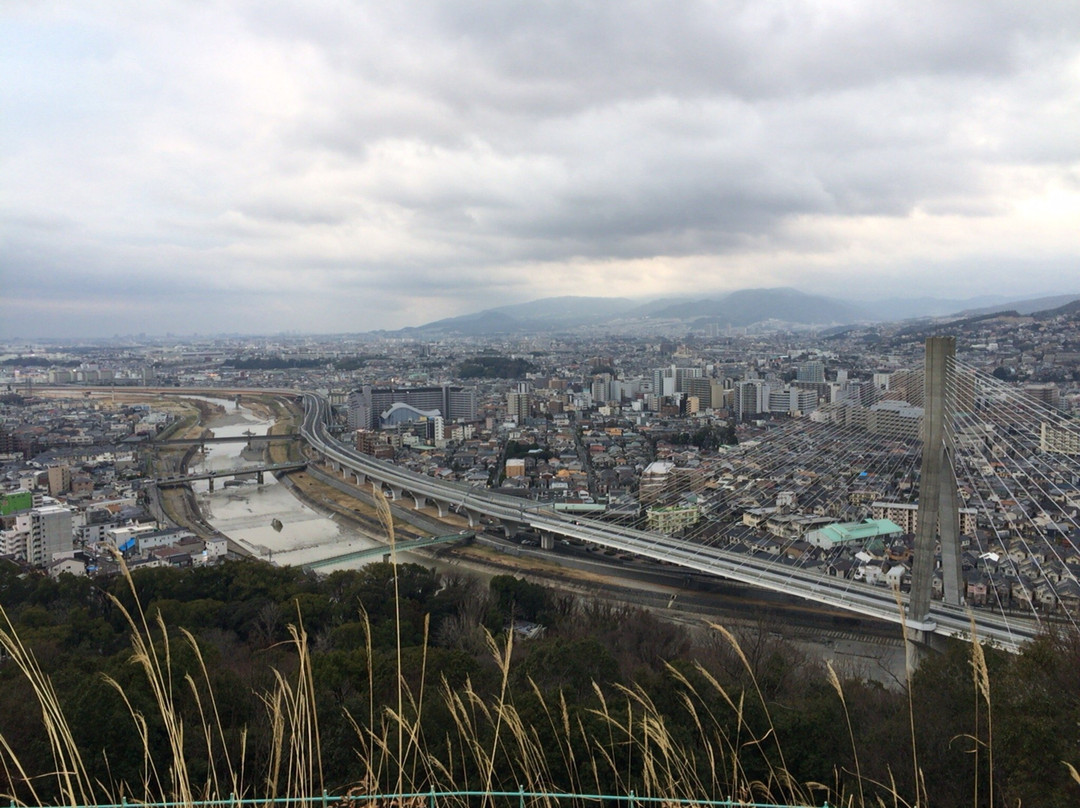 Satsukiyama Park景点图片