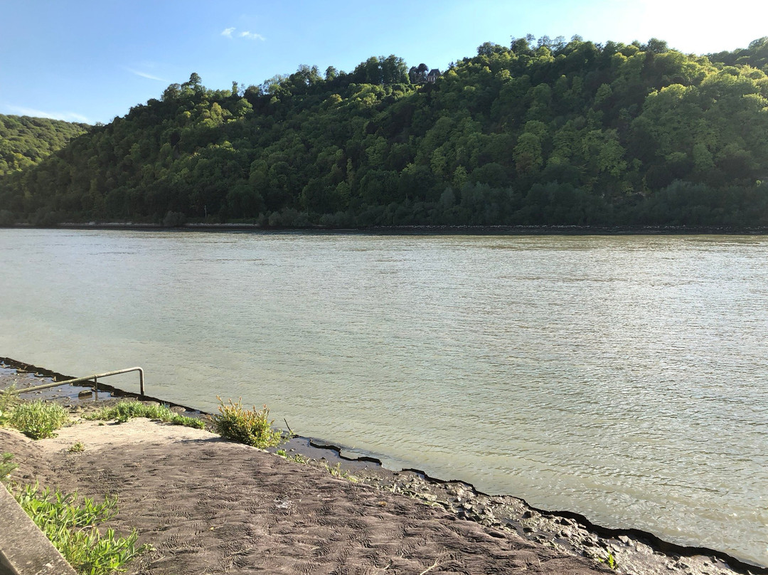 Camping De La Seine